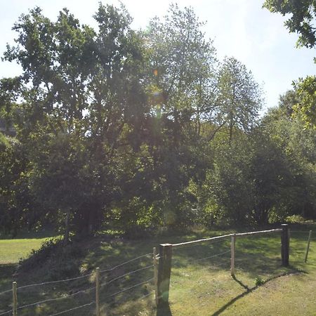 Alte Schule 3, Urlaub Wo Einst Die Dorfschule War Kall Buitenkant foto