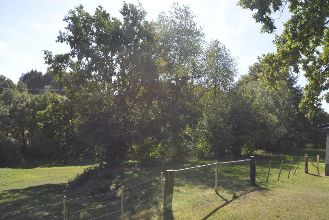 Alte Schule 3, Urlaub Wo Einst Die Dorfschule War Kall Buitenkant foto